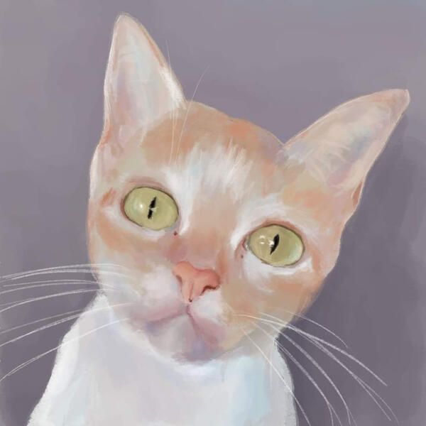 Pet Portrait 1